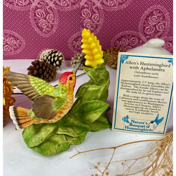 Bronson Collection Other - Allen's Bronson Collection, Hummingbird with Aphelandra Flower, looks so natural